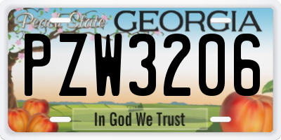 GA license plate PZW3206