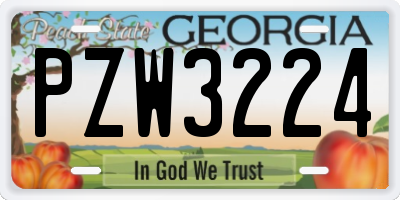 GA license plate PZW3224