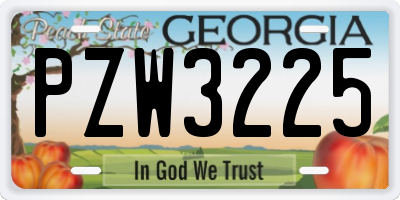 GA license plate PZW3225