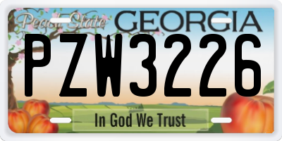 GA license plate PZW3226