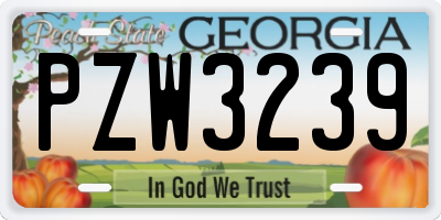 GA license plate PZW3239