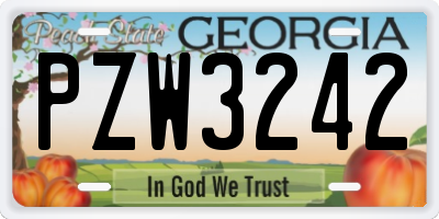 GA license plate PZW3242