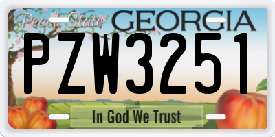 GA license plate PZW3251