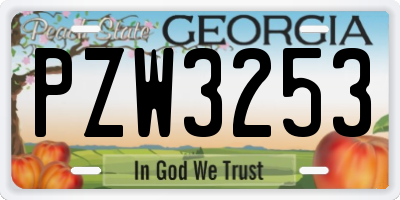 GA license plate PZW3253