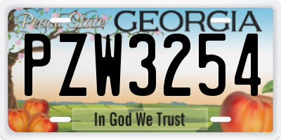 GA license plate PZW3254