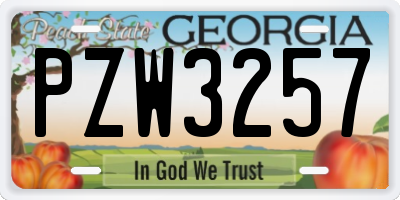 GA license plate PZW3257