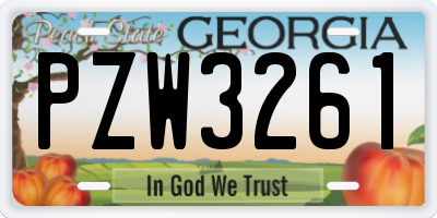 GA license plate PZW3261