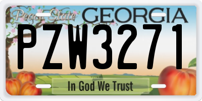 GA license plate PZW3271