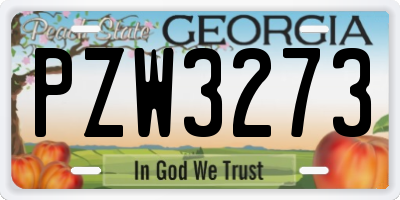 GA license plate PZW3273