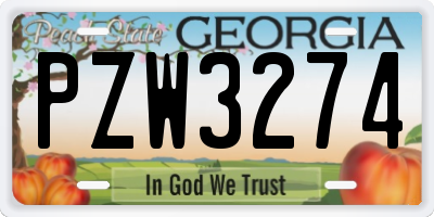 GA license plate PZW3274