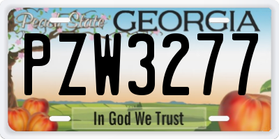 GA license plate PZW3277
