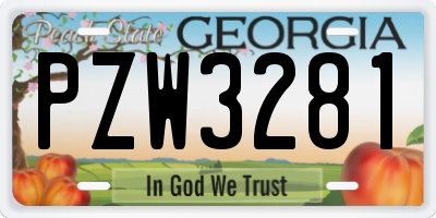 GA license plate PZW3281