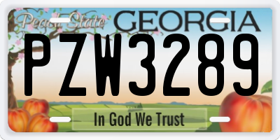 GA license plate PZW3289