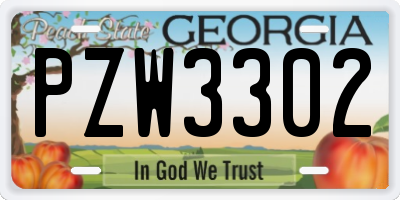 GA license plate PZW3302