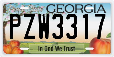 GA license plate PZW3317