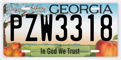 GA license plate PZW3318