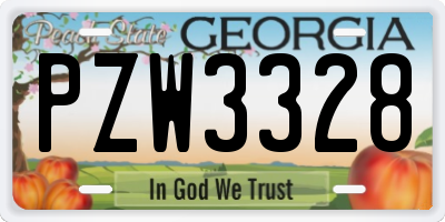 GA license plate PZW3328
