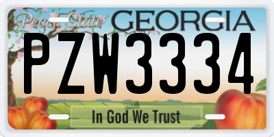GA license plate PZW3334