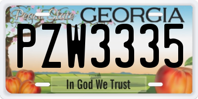 GA license plate PZW3335