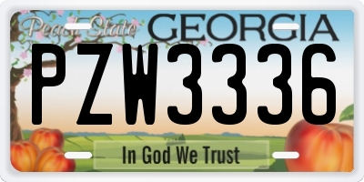 GA license plate PZW3336