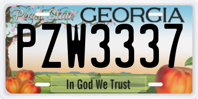 GA license plate PZW3337