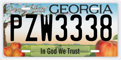 GA license plate PZW3338