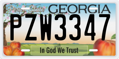 GA license plate PZW3347