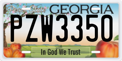 GA license plate PZW3350