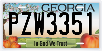 GA license plate PZW3351