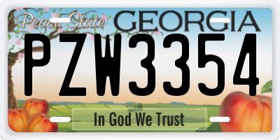 GA license plate PZW3354