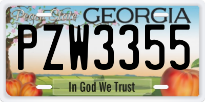 GA license plate PZW3355