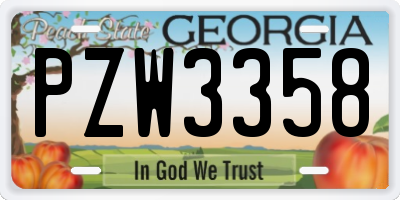 GA license plate PZW3358