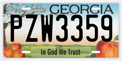GA license plate PZW3359