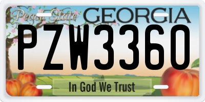 GA license plate PZW3360