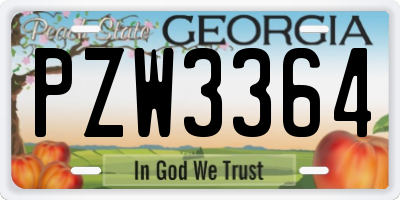 GA license plate PZW3364