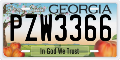 GA license plate PZW3366