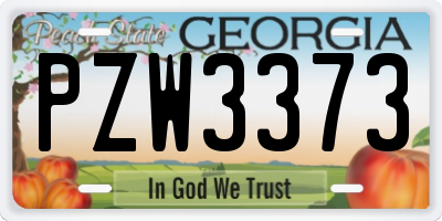 GA license plate PZW3373
