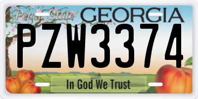GA license plate PZW3374
