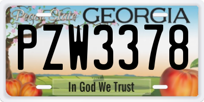 GA license plate PZW3378