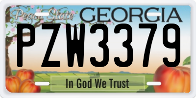 GA license plate PZW3379
