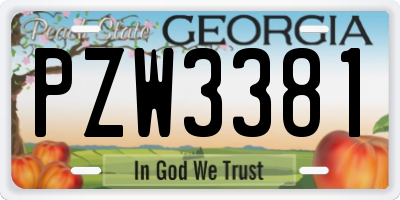 GA license plate PZW3381