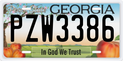 GA license plate PZW3386