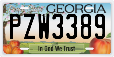 GA license plate PZW3389