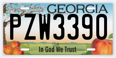 GA license plate PZW3390