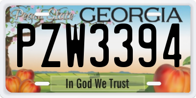 GA license plate PZW3394