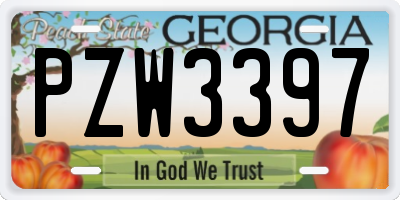 GA license plate PZW3397