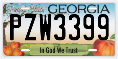 GA license plate PZW3399
