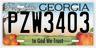GA license plate PZW3403