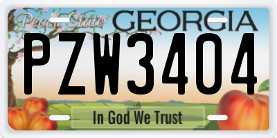 GA license plate PZW3404