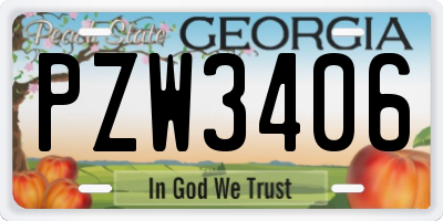 GA license plate PZW3406